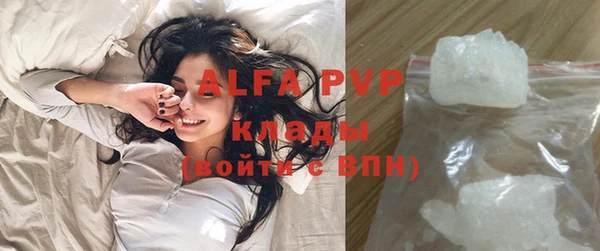 спиды Богородицк