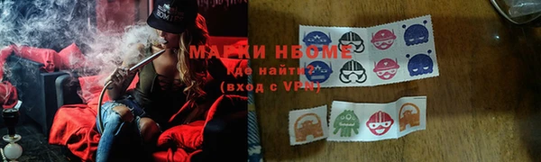 спиды Богородицк