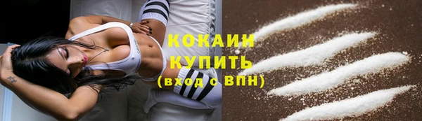 спиды Богородицк