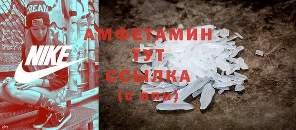 спиды Богородицк