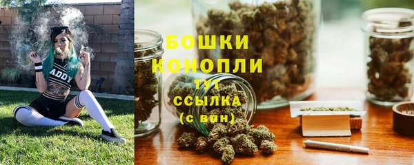 спиды Богородицк