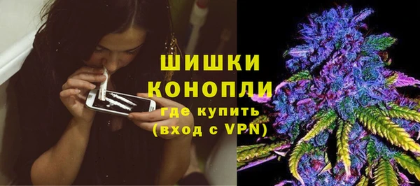 спиды Богородицк