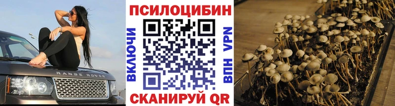 Галлюциногенные грибы Magic Shrooms  наркота  Трубчевск 